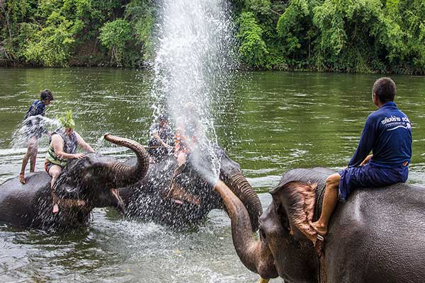 Elephants in Kanchanaburi Thailand